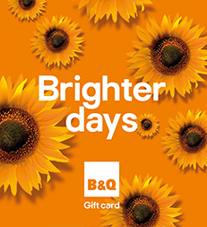 Brighter Days Sunflowers